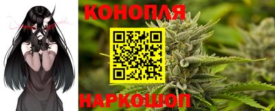 крисы Заводоуковск